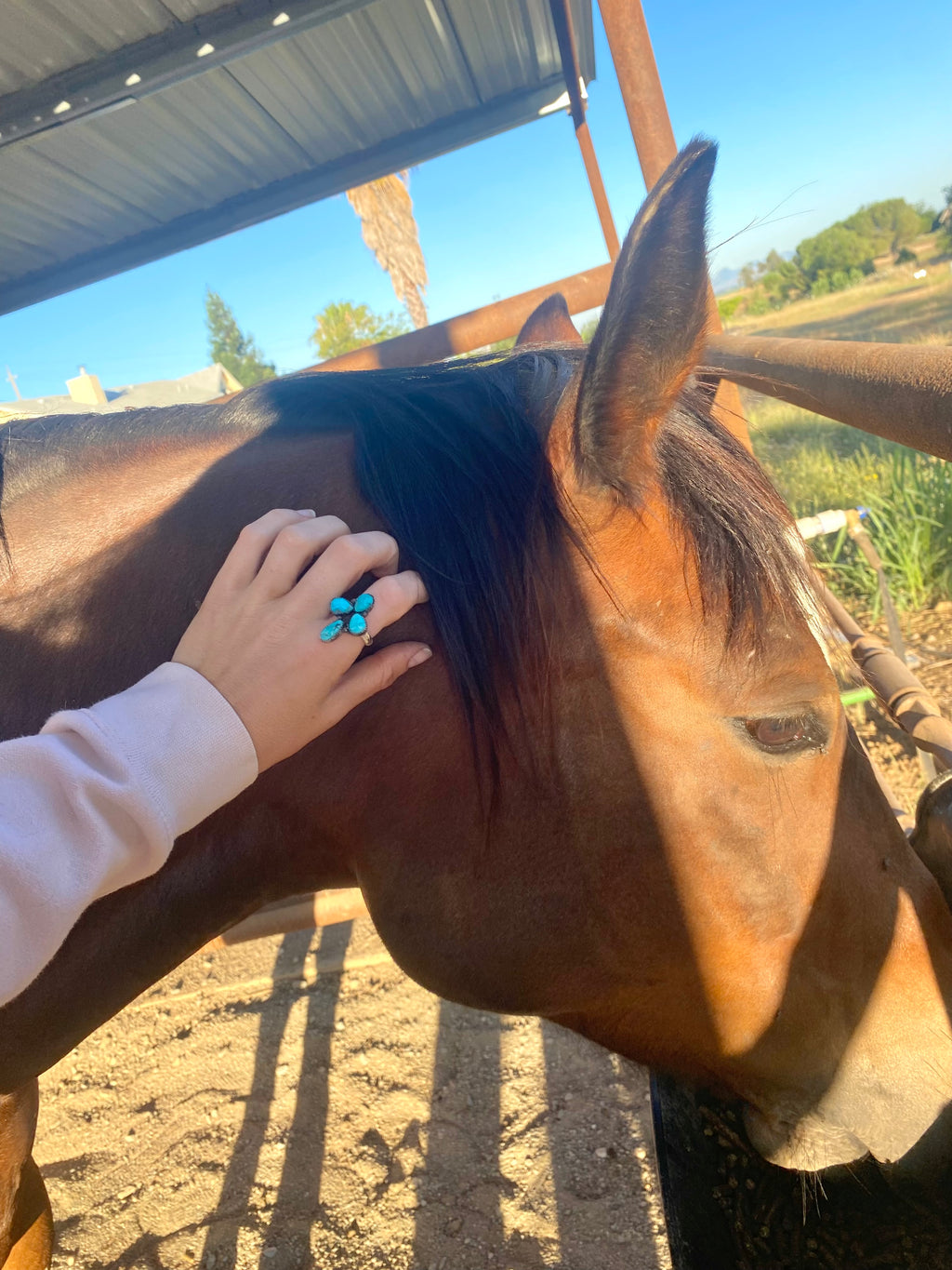 Cluster Ring
